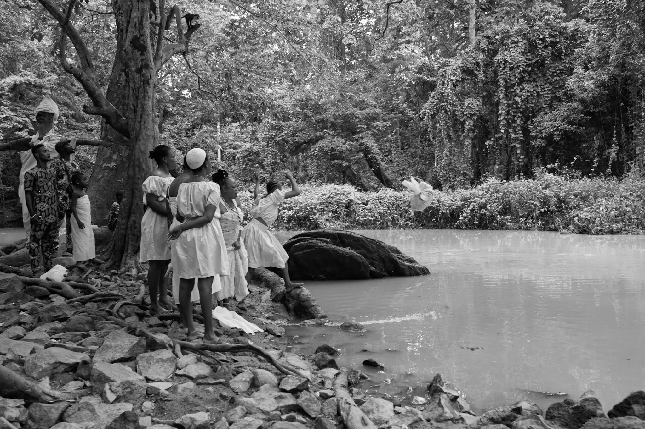 Osun Grove